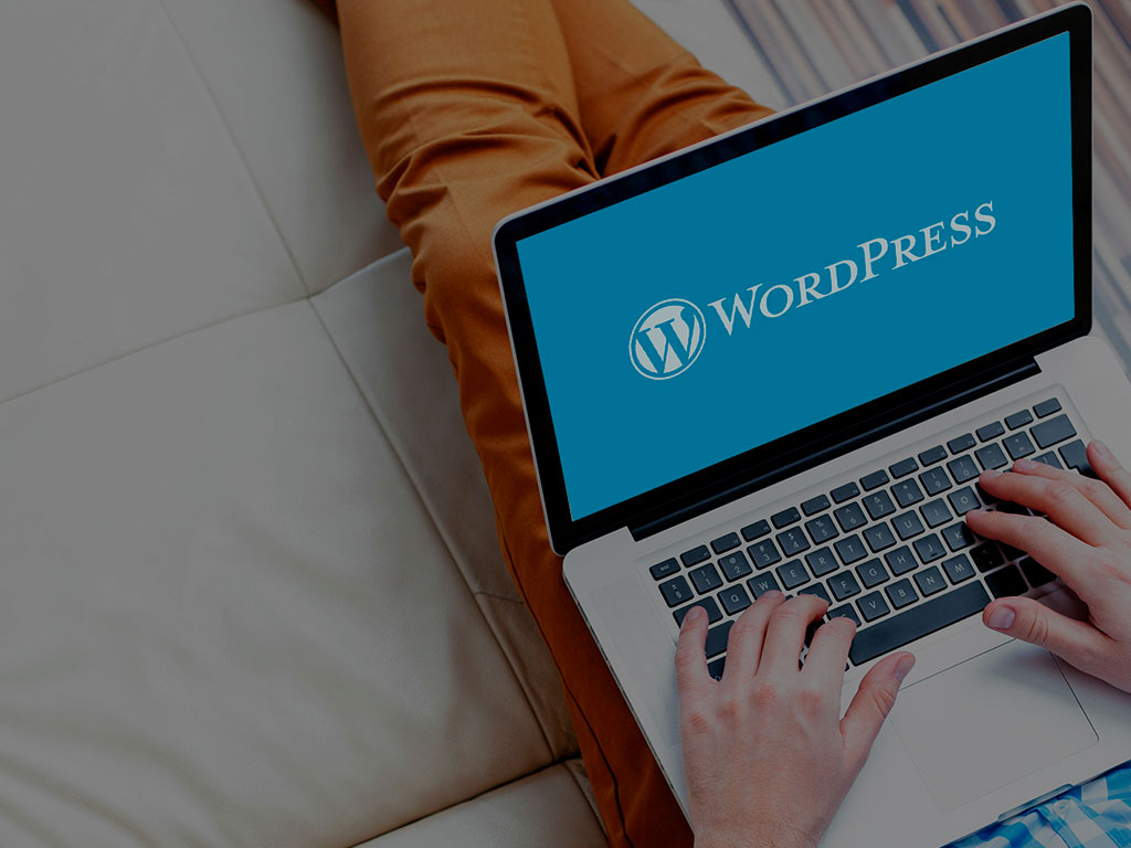 cursos-wordpress
