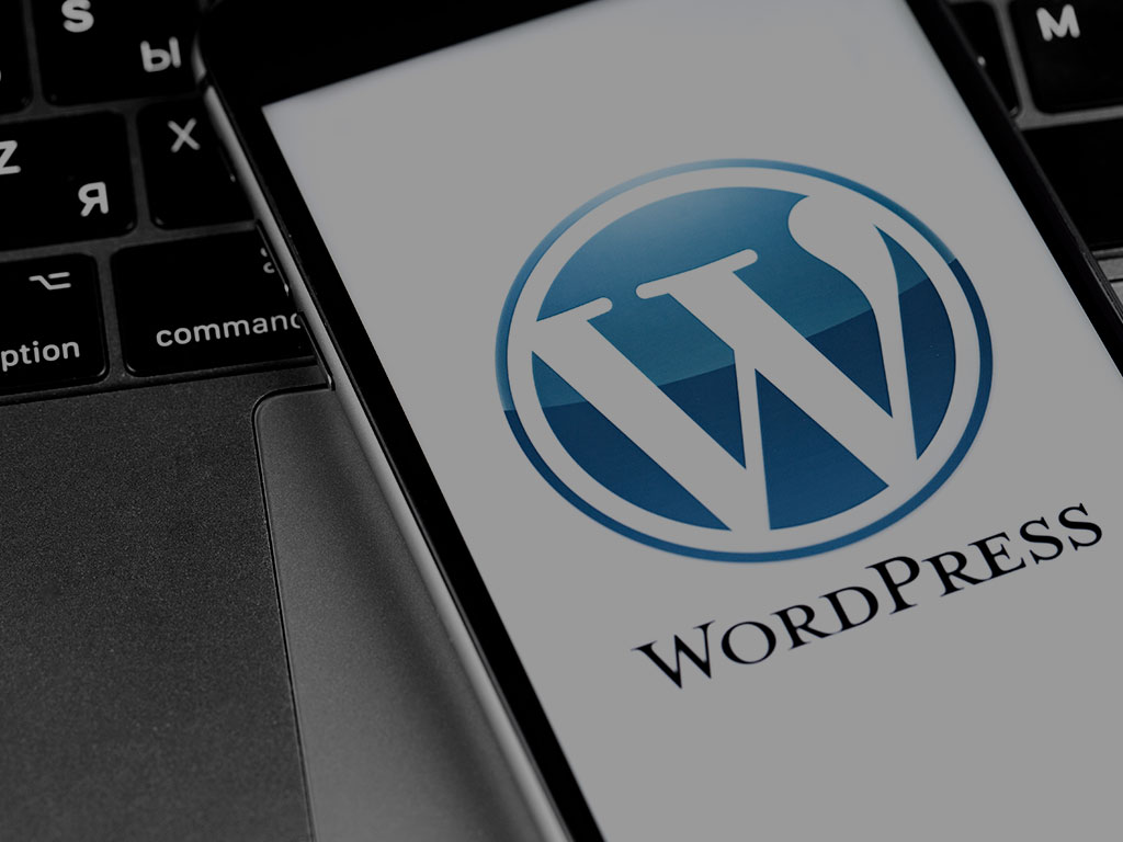 servicios-wordpress